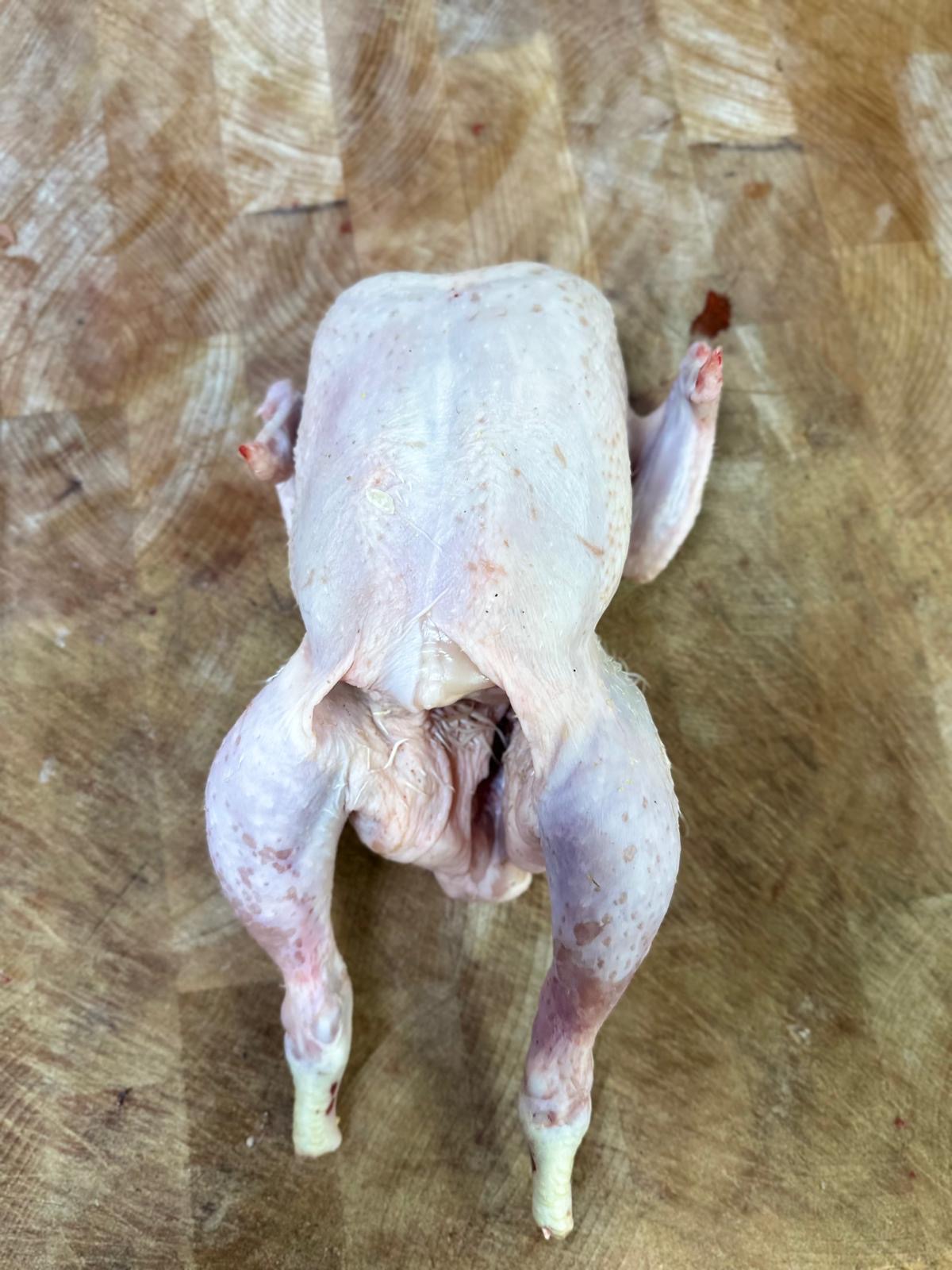 Raw Baby Chicken